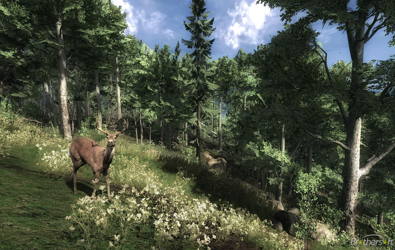 Thehunter For Mac